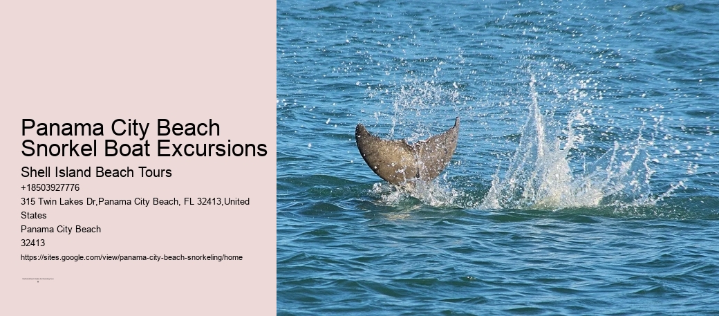 Panama City Beach Snorkel Boat Excursions