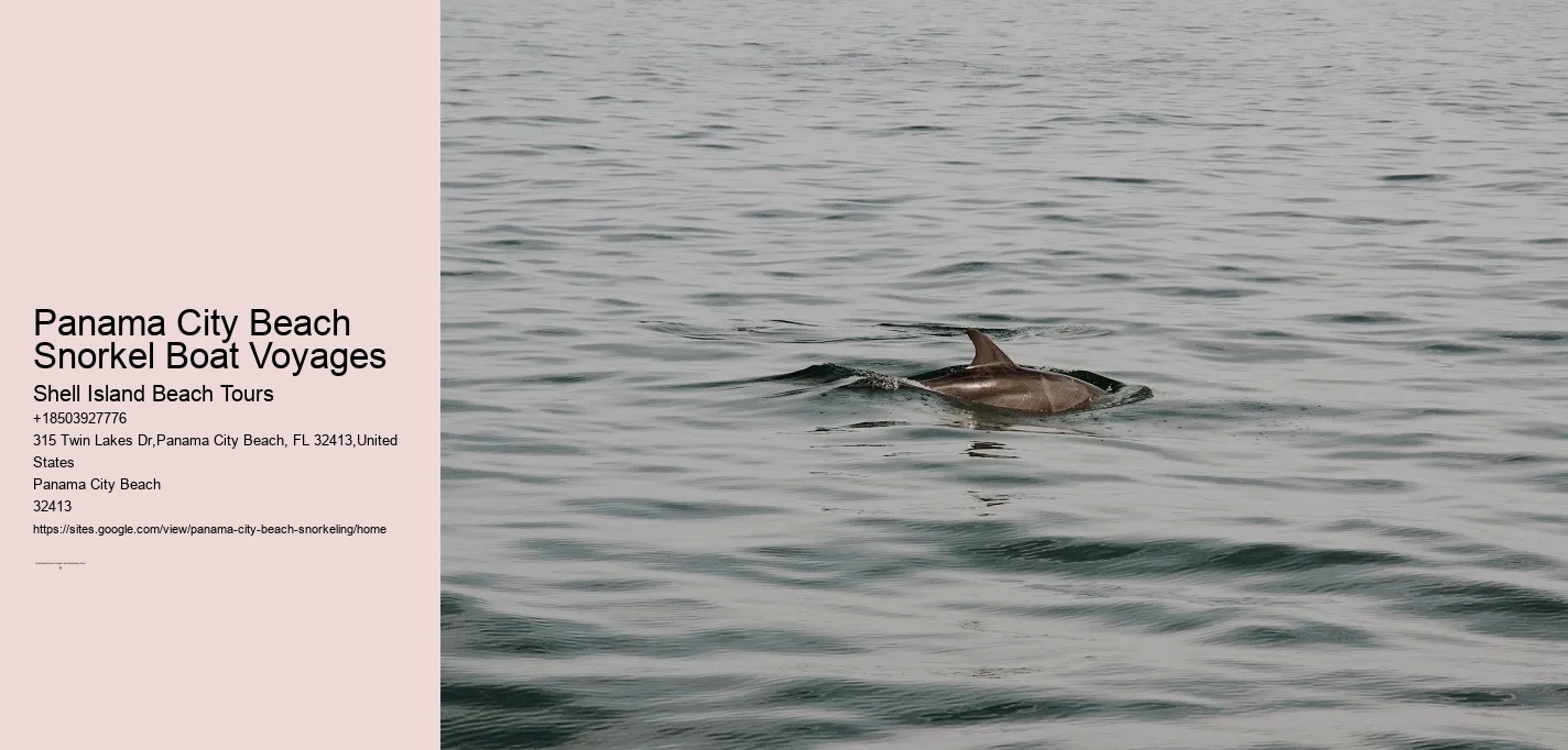 Panama City Beach Snorkel Boat Voyages