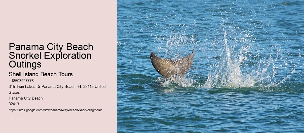 Panama City Beach Snorkel Exploration Outings