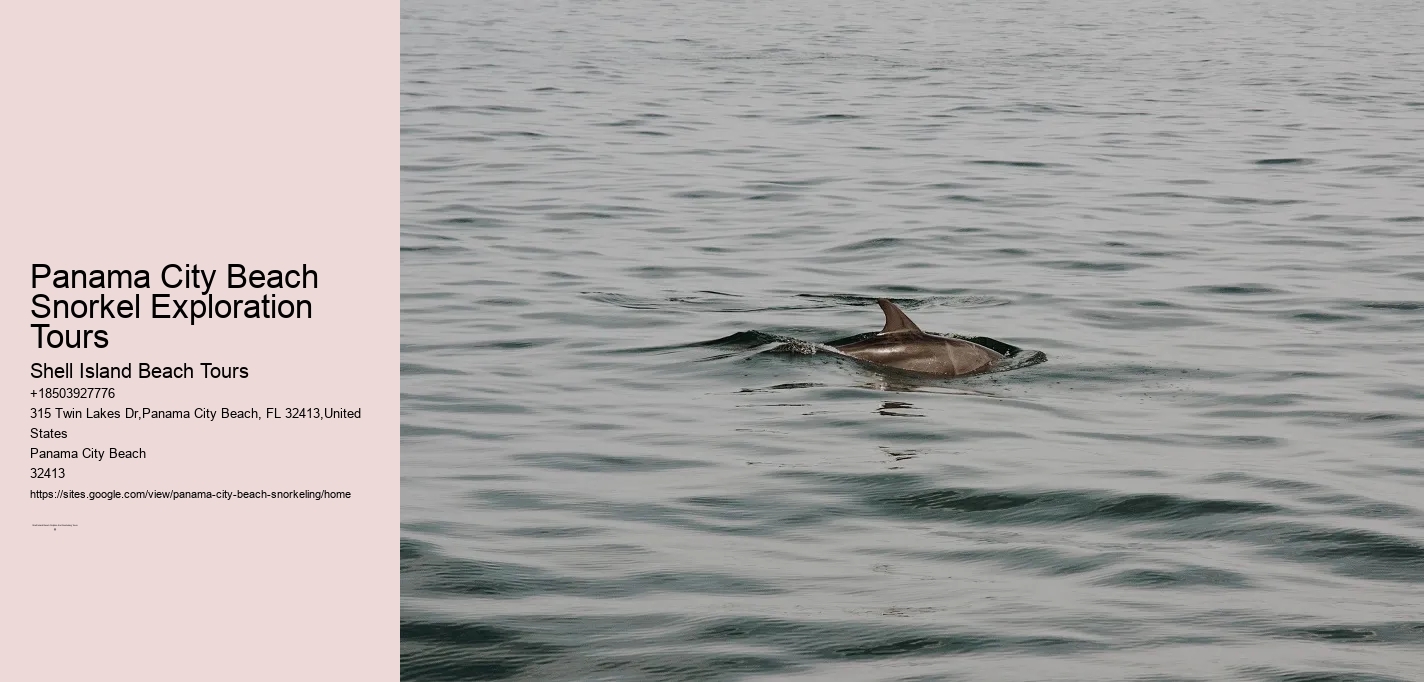 Panama City Beach Snorkel Exploration Tours