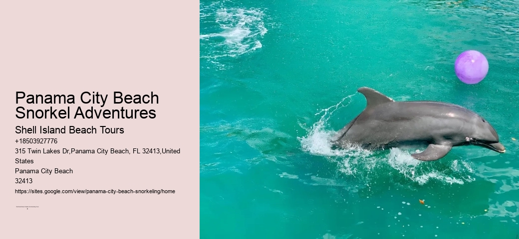 Panama City Beach Snorkel Exploration Outings