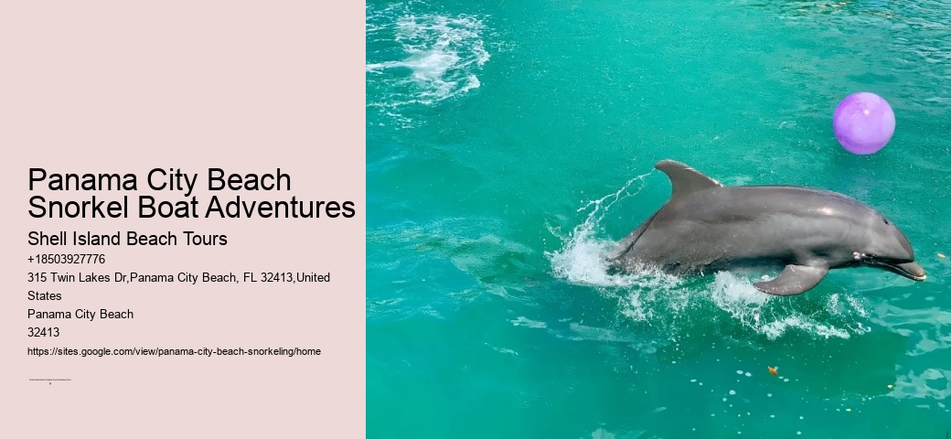 What Marine Life Can Be Seen During Snorkeling Tours In Panama City Beach