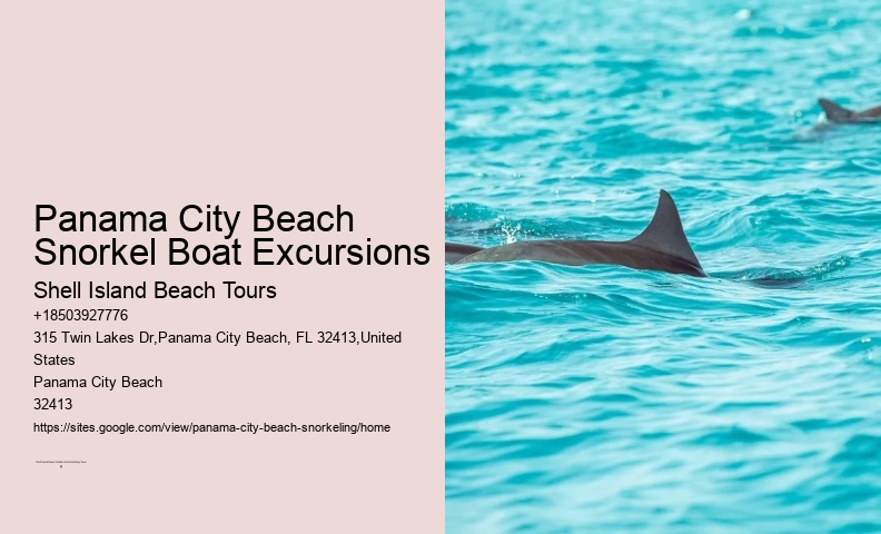 Panama City Beach Snorkeling Tours Orange Beach Al