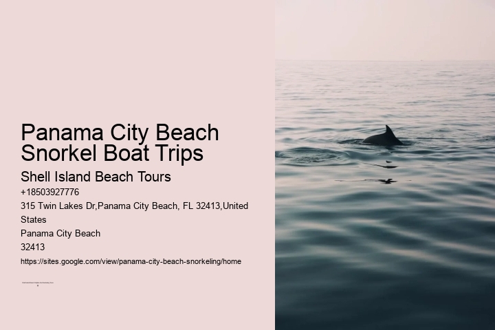 Snorkeling Adventures Departing From Panama City Beach