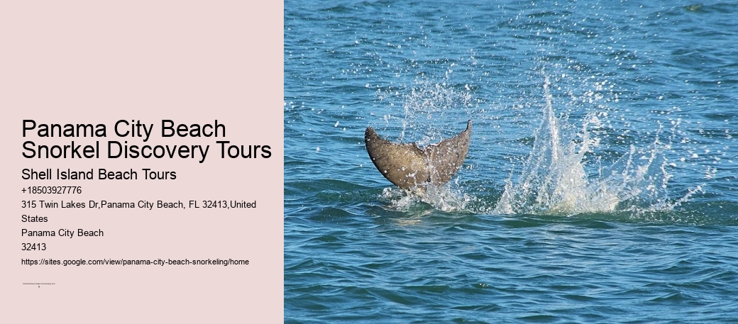 Panama City Beach Snorkeling Tours De