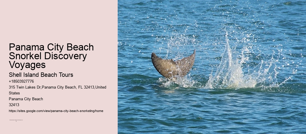 Panama City Beach Snorkeling Tours K Bay