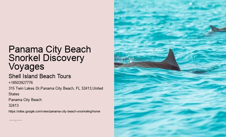Snorkeling Adventures Departing From Panama City Beach