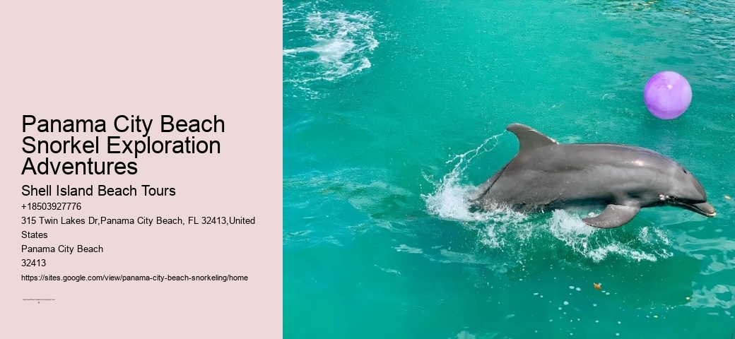 Panama City Beach Snorkeling Tours Vero Beach