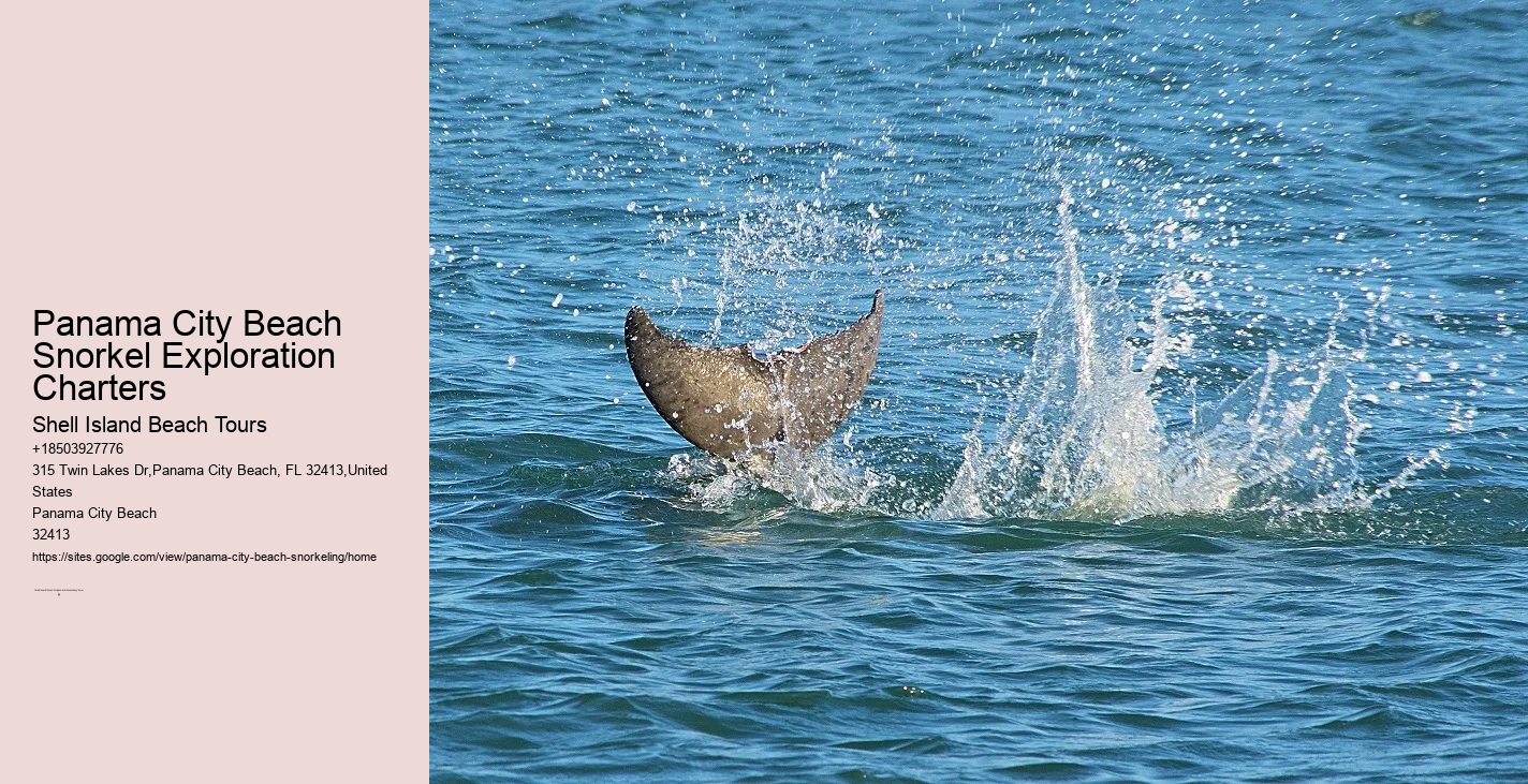 Snorkeling Charters In Panama City Beach