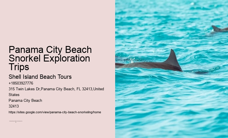 Panama City Beach Snorkeling Tours Ta