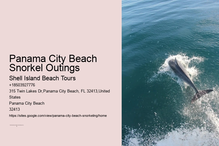 Panama City Beach Snorkeling Tours South