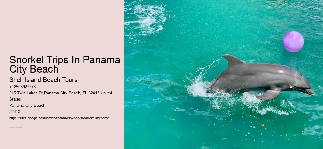 Panama City Beach Snorkel Discovery Voyages