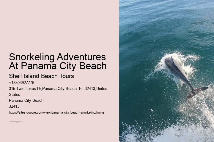 Panama City Beach Snorkeling Tours Delaware Valley