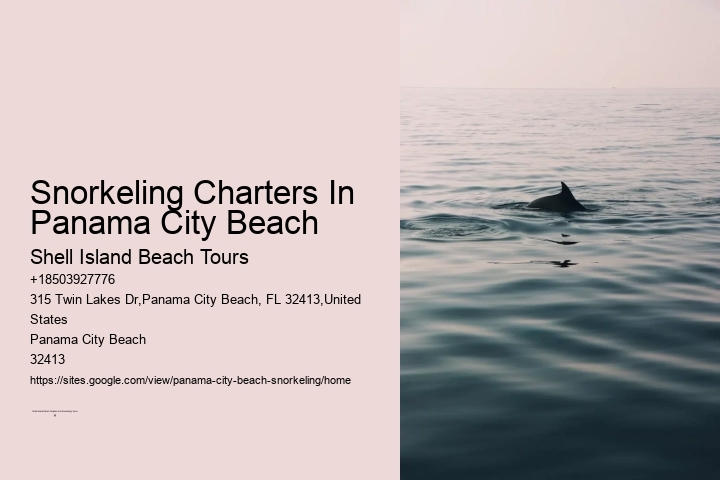 Snorkeling Charters In Panama City Beach