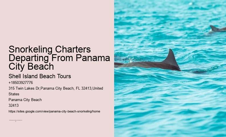 Panama City Beach Snorkel Exploration Charters