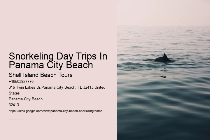 Snorkeling Day Trips In Panama City Beach