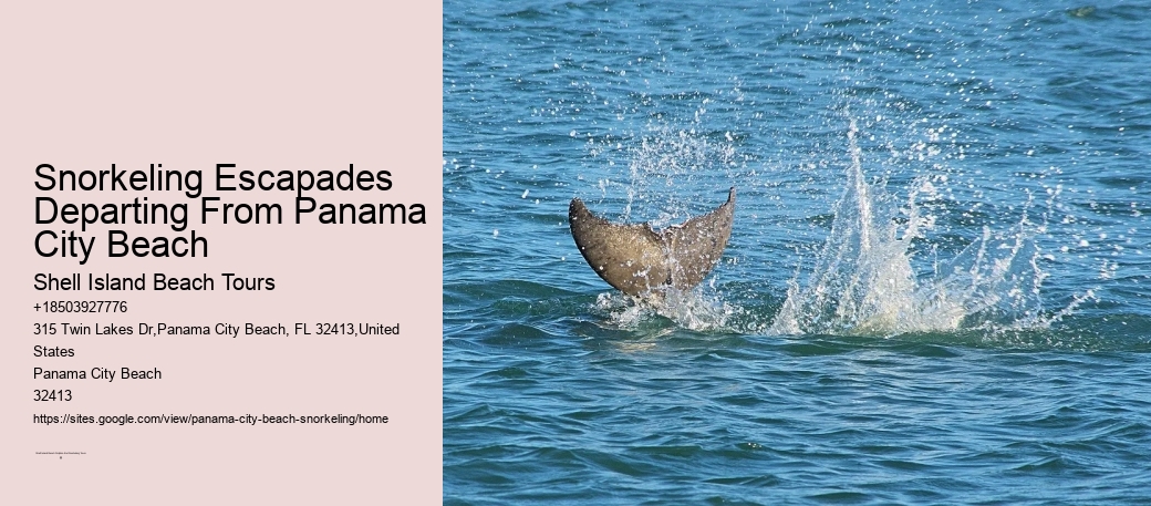 Snorkeling Escapades Departing From Panama City Beach