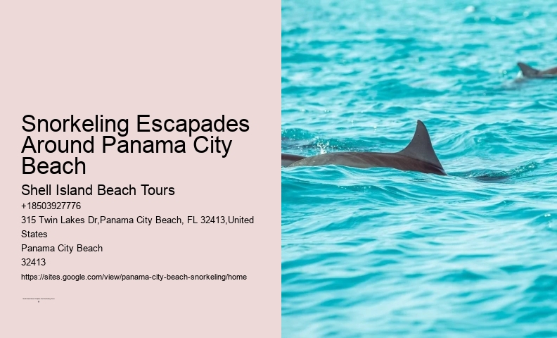 Panama City Beach Snorkeling Tours Kohler
