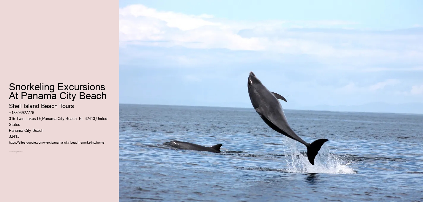 Snorkeling Excursions At Panama City Beach