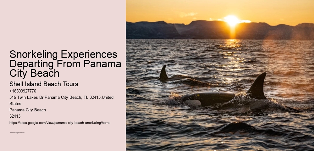 Snorkeling Experiences Departing From Panama City Beach