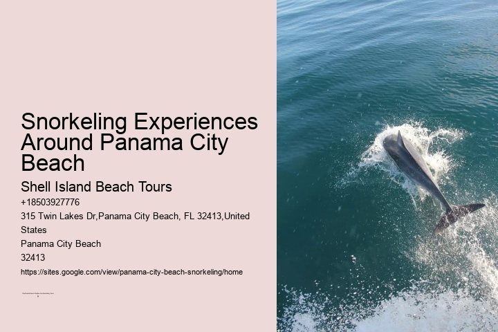 Panama City Beach Snorkeling Tours Delaware
