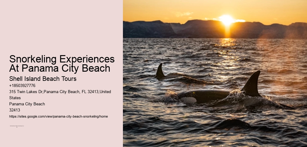 Panama City Beach Snorkeling Tours August
