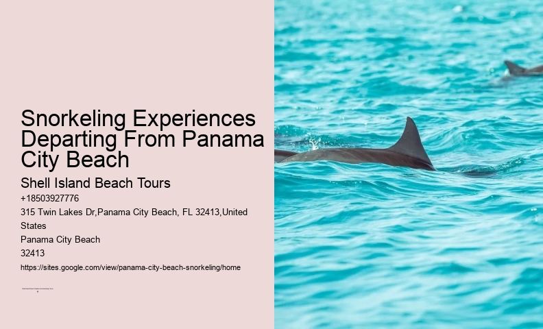 Snorkeling In Panama City