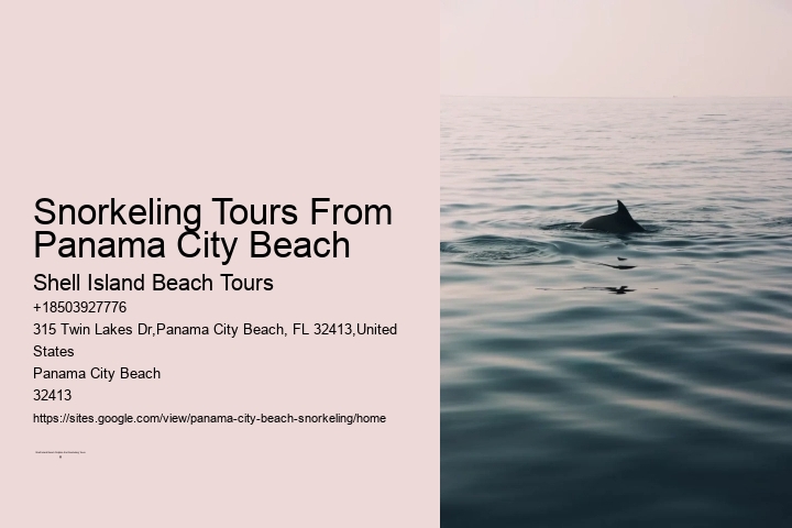 Snorkeling Tours From Panama City Beach