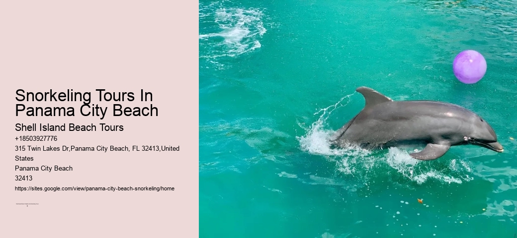 Panama City Beach Snorkeling Tours Rudy's