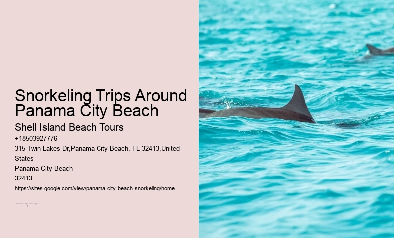 Panama City Beach Snorkel Adventure Trips