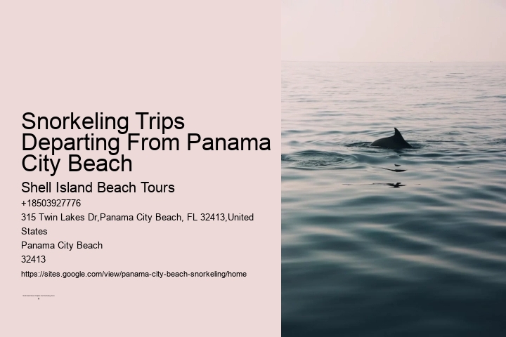 Snorkeling Trips Departing From Panama City Beach