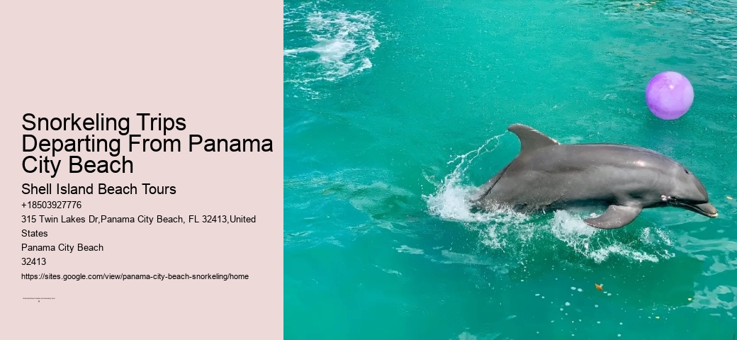 Panama City Beach Snorkeling Tours Hudson Valley