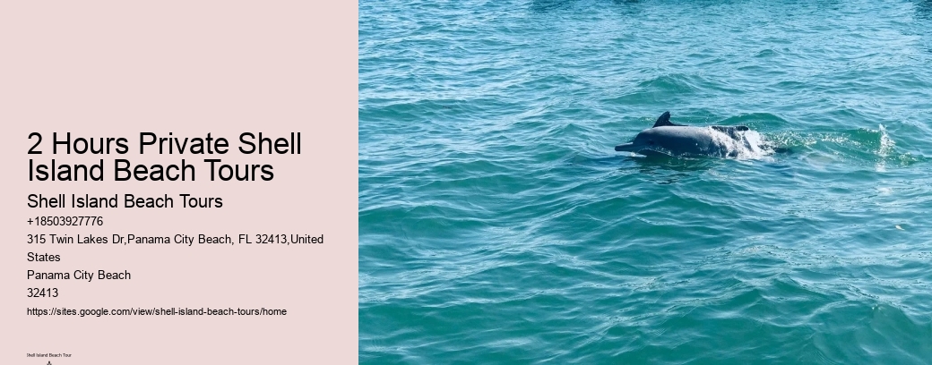 2 Hours Private Shell Island Beach Tours