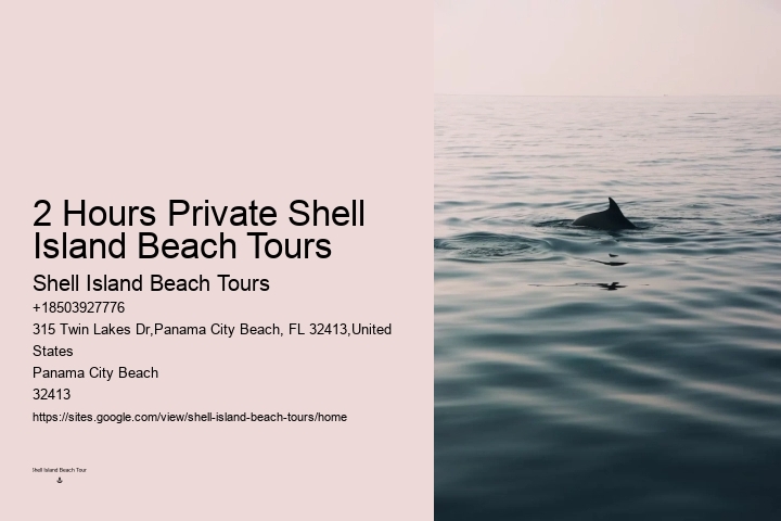 Dolphin Tours In Panama City Beach