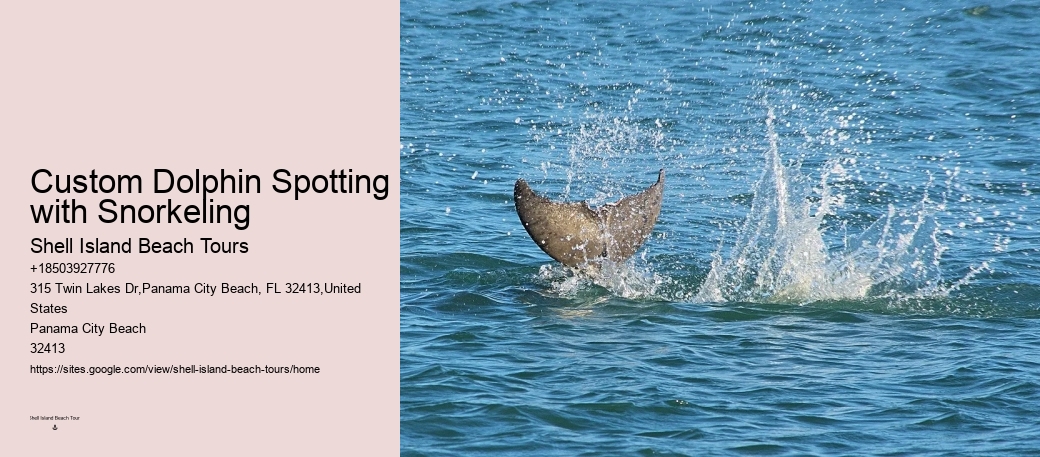 Panama City Beach dolphin discovery excursions