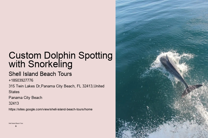 How Much Does It Cost To Swim With Dolphins In Florida