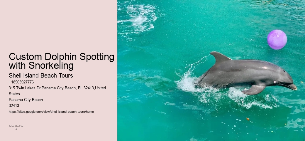 City Beach Dolphin Tours