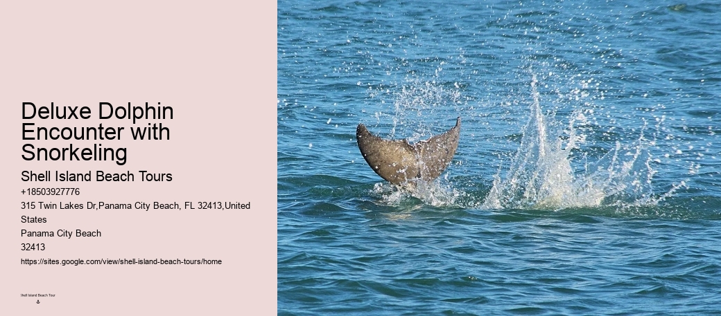 How Do Dolphins Know Humans Are Pregnant