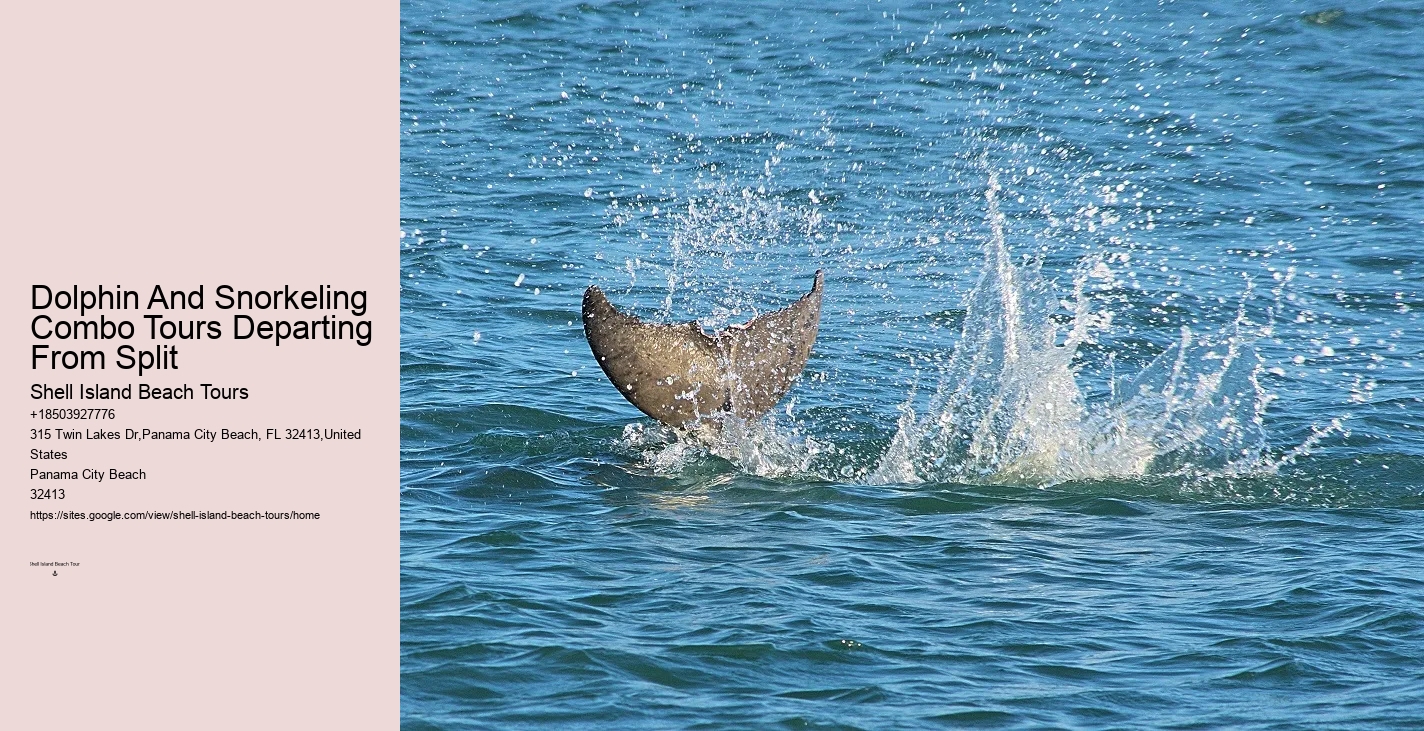 Do You Get Sea Sick On A Dolphin Cruise