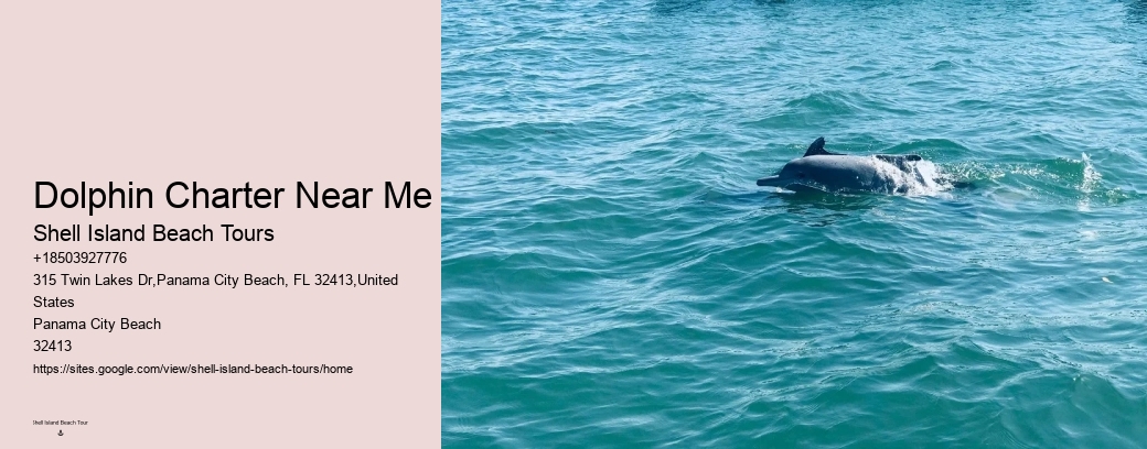 Dolphin Charter Near Me