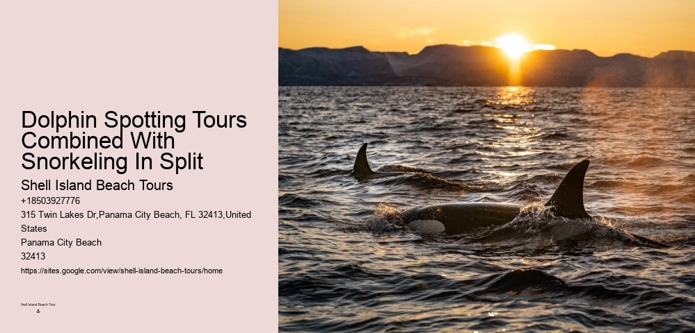 Snorkeling Safaris With Dolphin Watching In Split