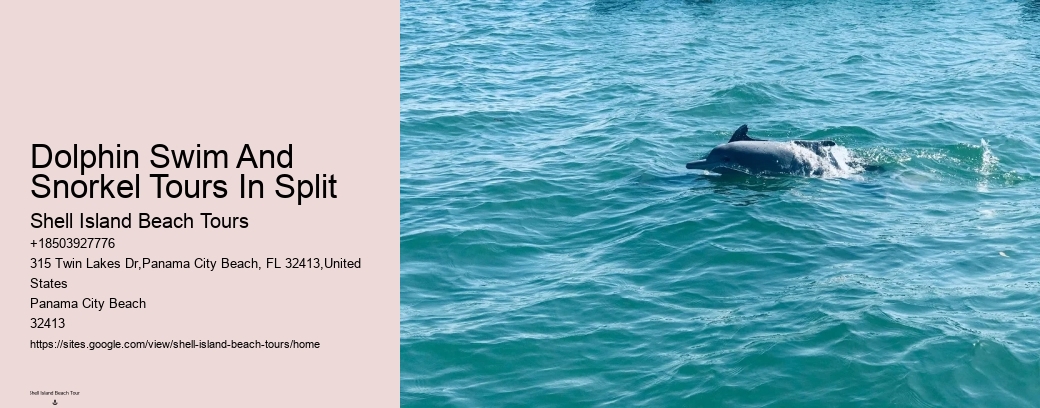 Dolphin Swim And Snorkel Tours In Split