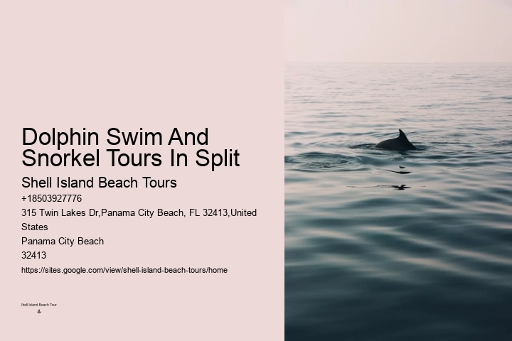 Dolphin Exploration Tours PCB