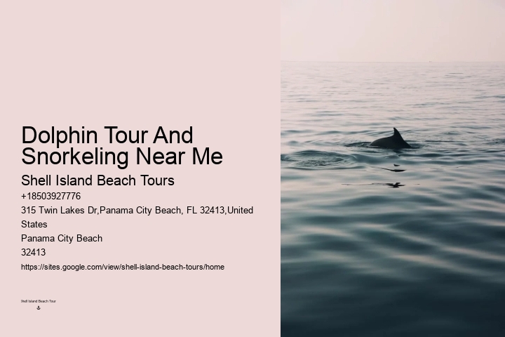 Tailored Dolphin Watching and Snorkeling Expeditions
