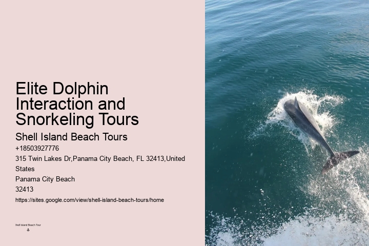 What Is A Female Dolphin Called