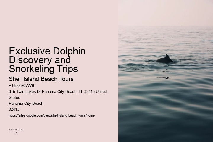 How Much Does Dolphin Cove Cost