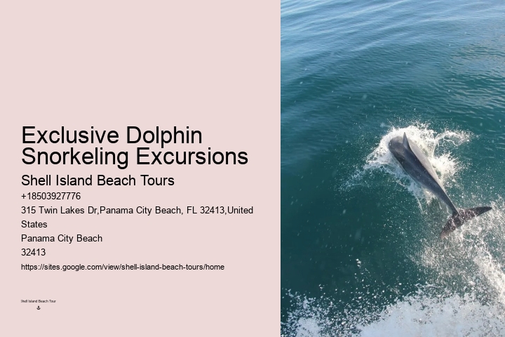 Custom Dolphin Discovery and Snorkeling Adventures
