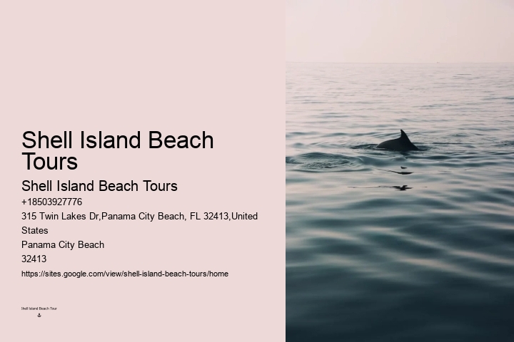 Panama City Beach dolphin experience