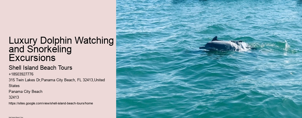 Luxury Dolphin Watching and Snorkeling Excursions
