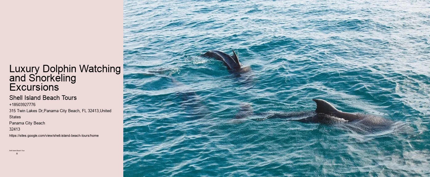 Swim-with-the-dolphins Attractions